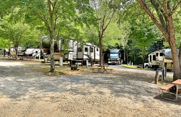 Asheville West KOA Holiday Photo