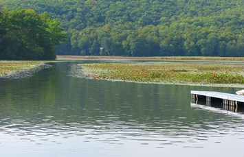 Lake Bomoseen KOA Holiday Photo