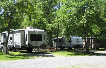 Charlottesville KOA Holiday Photo