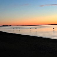 bay-center