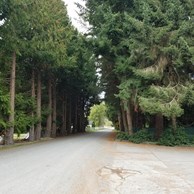 burlington