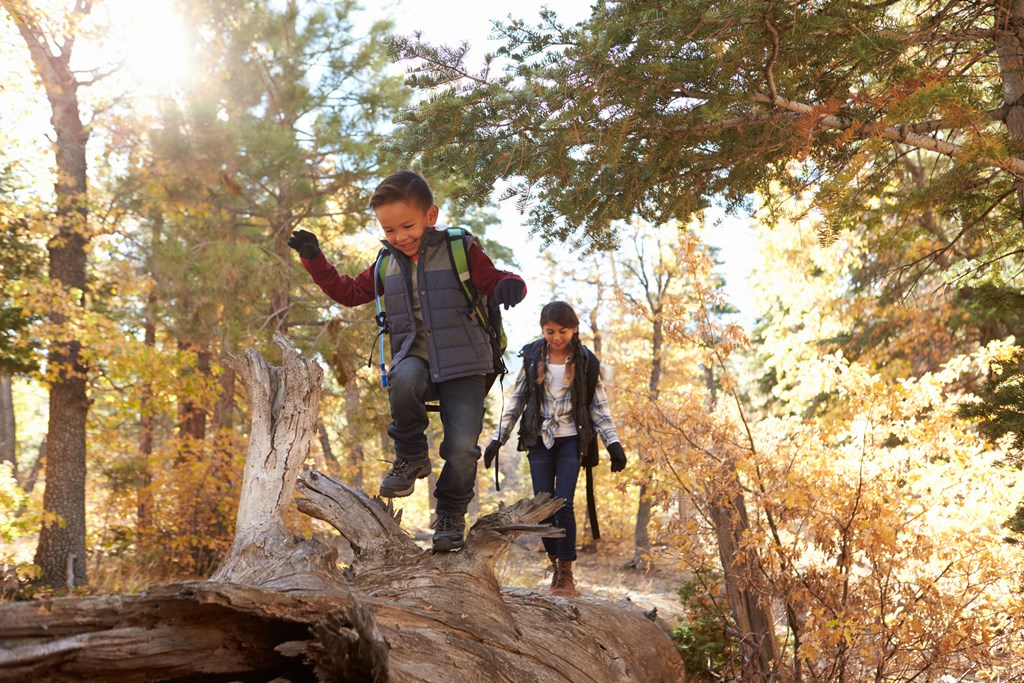 Brother and sister walking along a fallen tree in a forest.