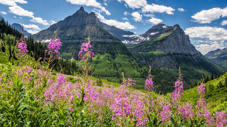 Northern Rockies & Plains Region