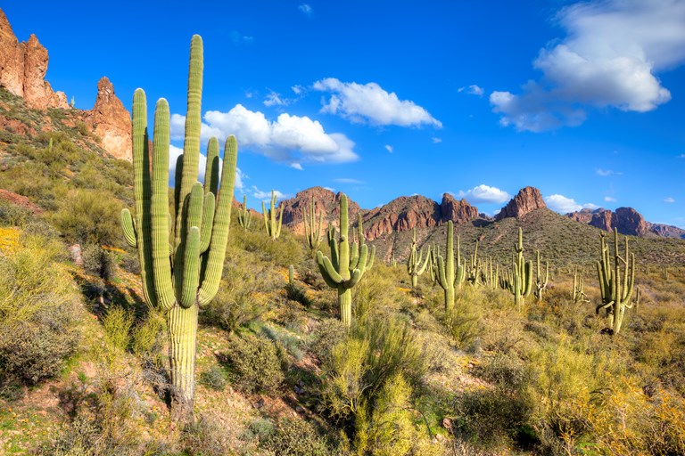 Southwest Region